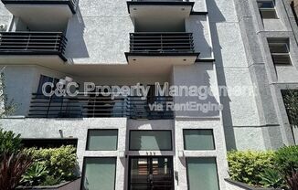 327 Chestnut Avenue #310