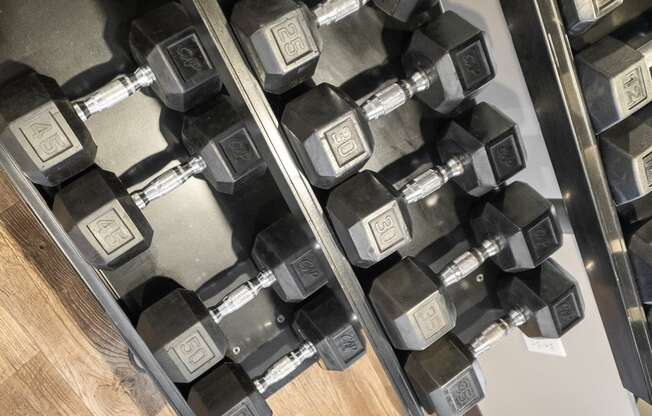 a row of dumbbells in a gym at Mill Pond Apartments, Auburn Washington