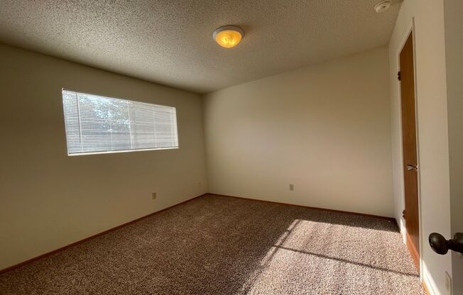 2 beds, 1 bath, $1,329