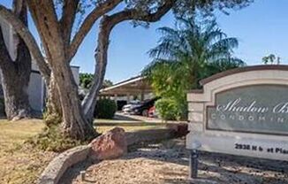 1 bed, 1 bath, $1,399, Unit # 238
