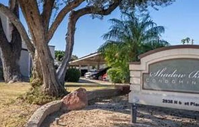 1 bed, 1 bath, $1,399, Unit # 238