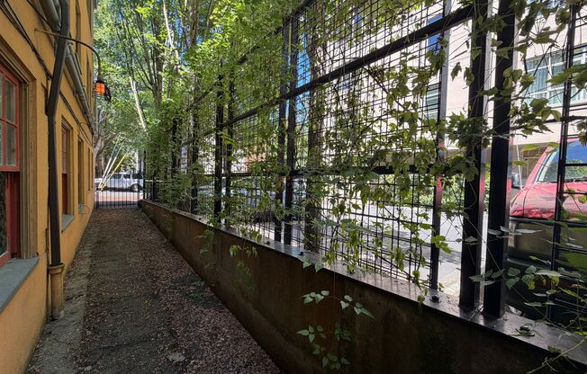 Studio, 1 bath, 320 sqft, $1,129, Unit 06