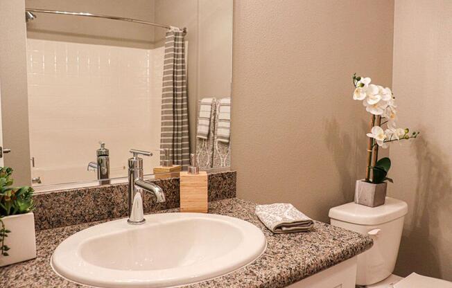 a sink and a mirror