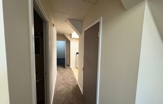 Studio, 1 bath, 400 sqft, $789, Unit 514