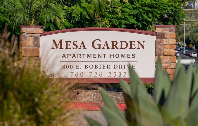 Studio, 1 bath, 500 sqft, $1,995