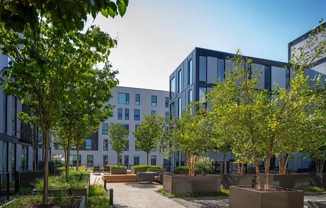 a courtyard with trees and buildings in the background