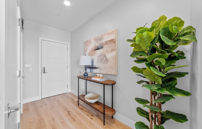 Studio, 1 bath, 531 sqft, $2,800, Unit 617