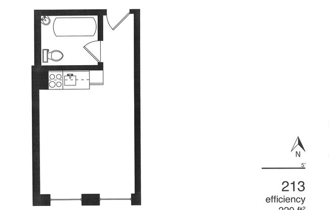 Studio, 1 bath, 195 sqft, $470, Unit 213