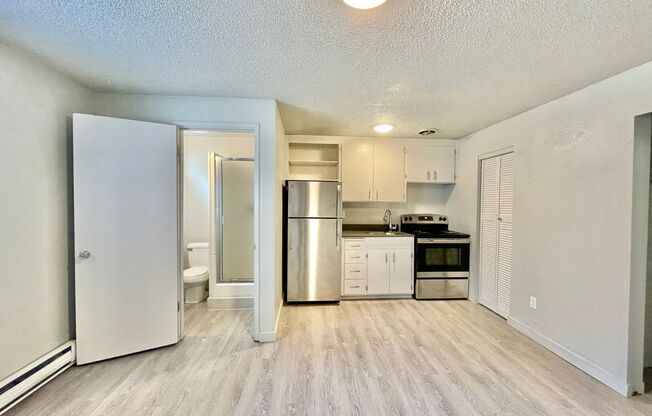 Studio, 1 bath, 250 sqft, $1,195, Unit 11