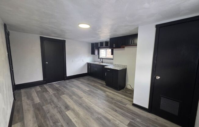 Updated 1 bedroom 1 bath for rent in Arlington!