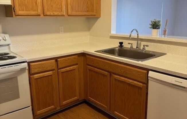 Willow Tree Apartments