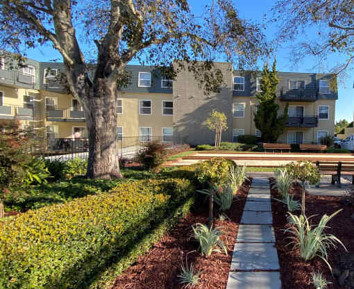 a path in a garden with a building in the background