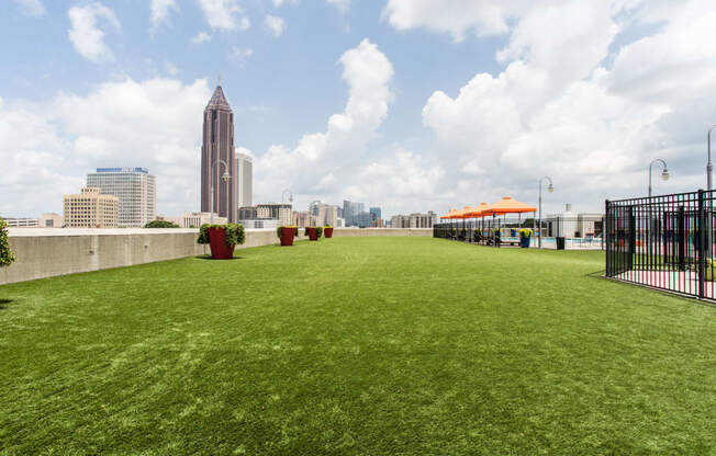 a lawn on the roof of a building with a city skyline in the background