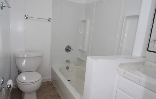 Studio, 1 bath, 300 sqft, $1,175