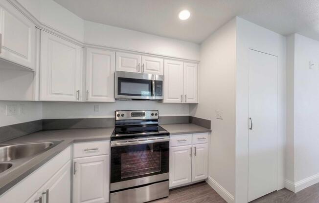 Kitchen Oven and Pantry.jpg