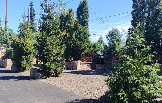 Studio, 1 bath, 355 sqft, $1,040