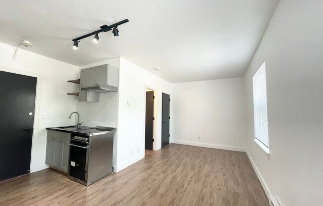 Studio, 1 bath, 311 sqft, $1,125, Unit 213