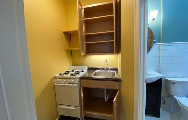 Studio, 1 bath, 180 sqft, $875, Unit 103