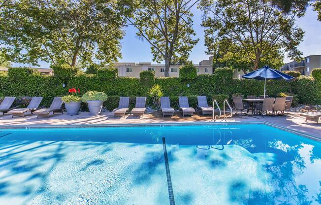 A serene outdoor swimming pool surrounded by lounge chairs and umbrellas, framed by lush greenery and trees. The clear blue water reflects the bright sky, creating a relaxing ambiance for leisure and enjoyment.