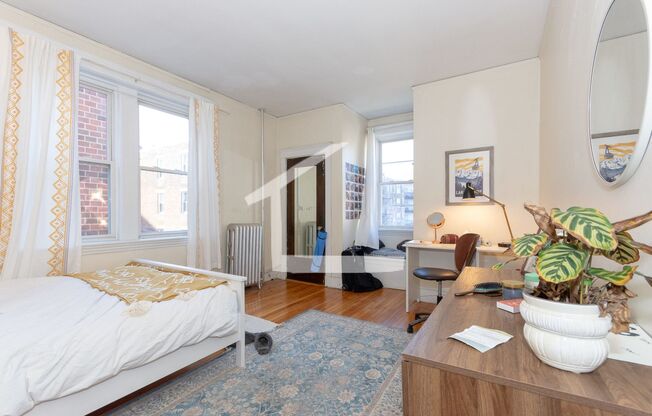BEST Student Friendly Big Bed Near BU Campus ! Desirable Saint Paul Street!  Heat & HW Inc and Cat Friendly