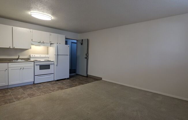 Studio, 1 bath, 350 sqft, $1,025, Unit 105