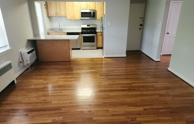 1 bed, 1 bath, 663 sqft, $1,750, Unit D-13