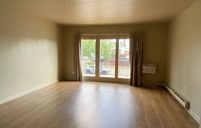 1 bed, 1 bath, $1,060, Unit Apt 1