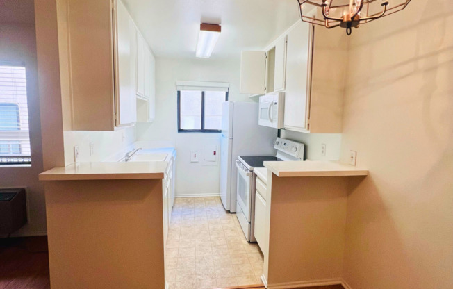 Studio, 1 bath, 500 sqft, $2,095, Unit 203