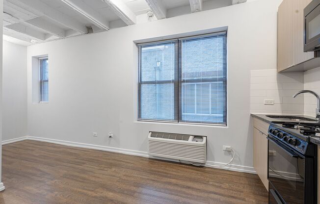 Studio, 1 bath, 172 sqft, $1,375, Unit 507