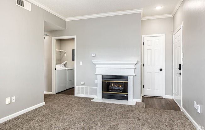 A room with a fireplace and a washer and dryer in it.