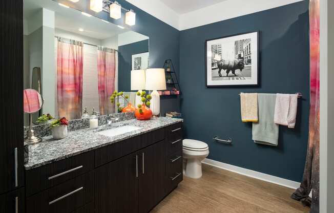 a bathroom with blue walls and a black and white picture on the wall at Abberly Noda Vista Apartment Homes, Charlotte