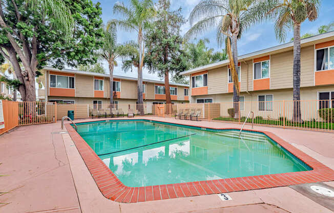 A swimming pool surrounded by a fence and palm trees.
