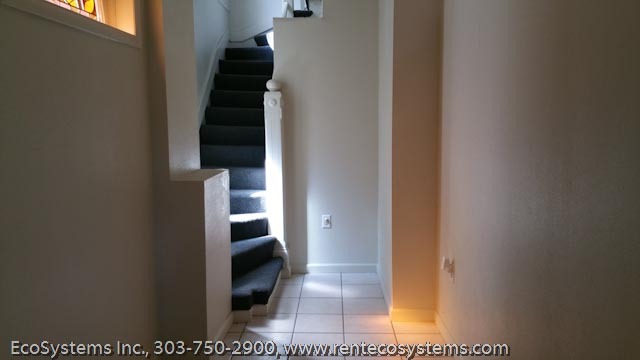 Beautifully Renovated 1 Bed/1 Bath Apartment in Victorian 4-Plex