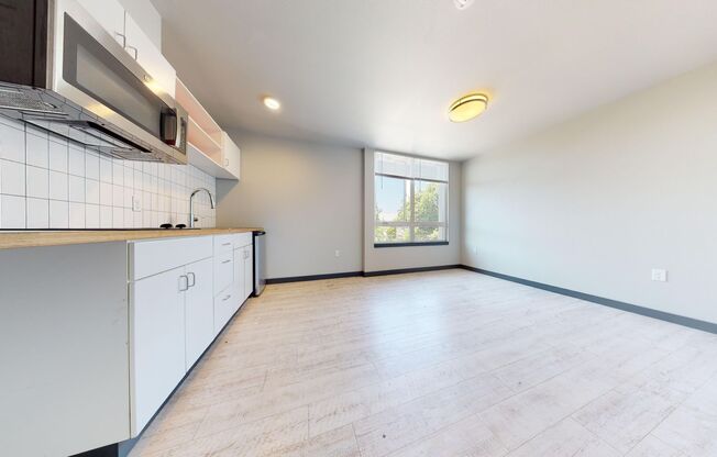 Studio, 1 bath, 258 sqft, $1,250, Unit 402