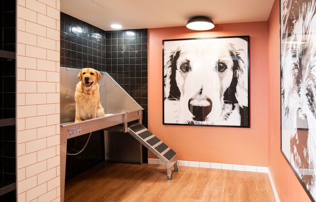 1 bed, 1 bath, $3,120, Unit 321