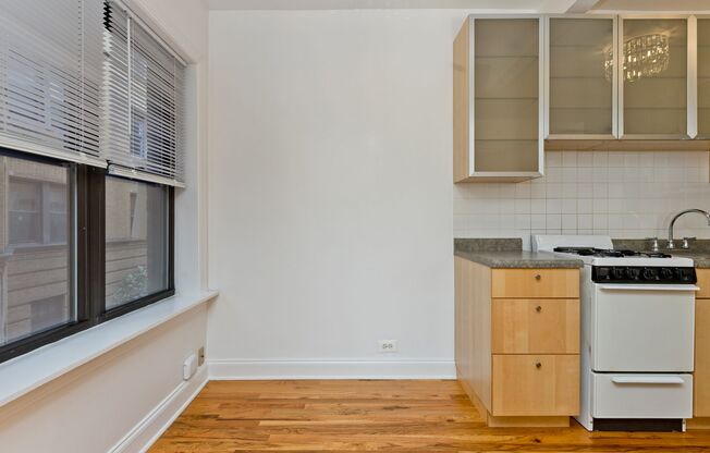 Studio, 1 bath, $1,250, Unit 209