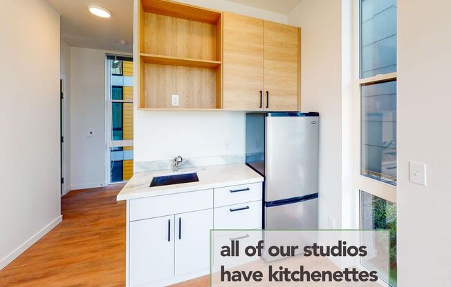Studio, 1 bath, 174 sqft, $895, Unit 217