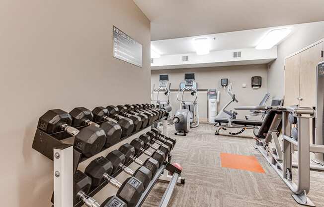 Fitness room with weight rack