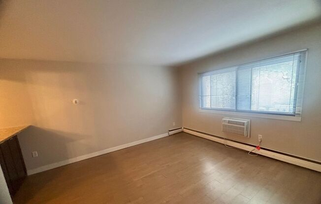 Studio, 1 bath, 300 sqft, $795, Unit 205