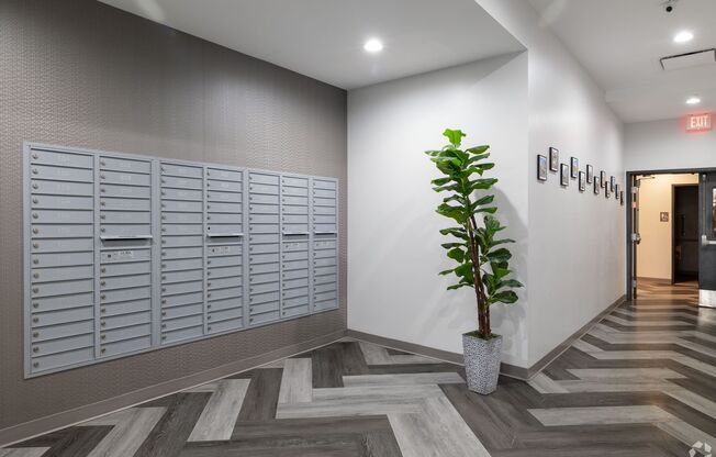 1 bed, 1 bath, 503 sqft, $1,400, Unit 301