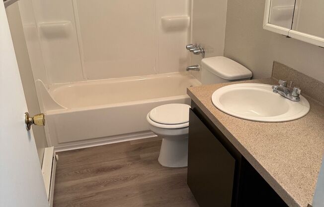 Studio, 1 bath, 355 sqft, $1,040