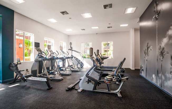 A gym with a variety of exercise equipment including treadmills, stationary bikes, and weight machines.