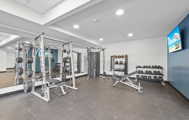 a gym with weights and dumbbells on the floor and a wall of mirrors