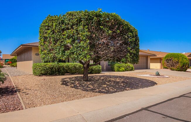 Beautifully updated 2 bed 2 bath in Sun City! TONs of amenities!!