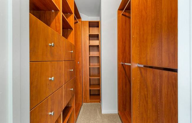 Closet at The Apartments at Tamar Meadow, Maryland