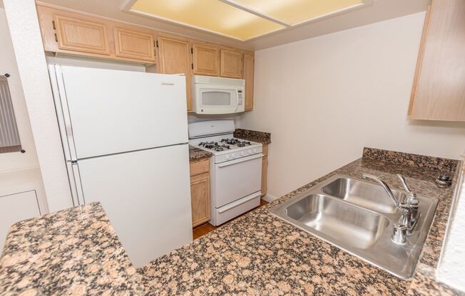 1 bed, 1 bath, $1,100