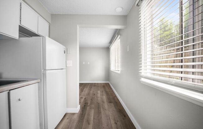 1 bed, 1 bath, 494 sqft, $1,250, Unit 31