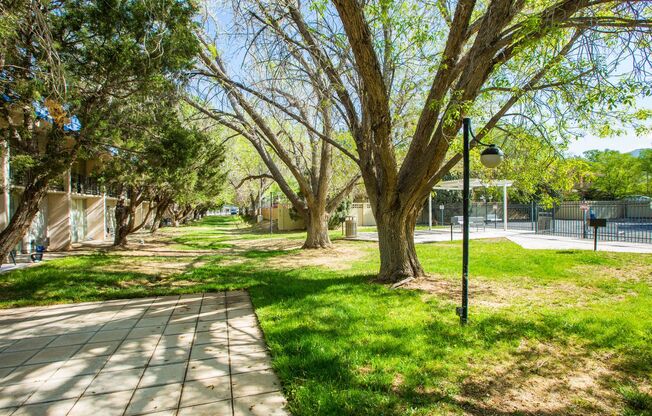 Studio, 1 bath, 331 sqft, $799, Unit 264