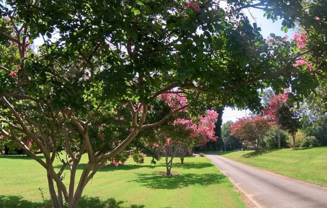 2 beds, 1.5 baths, 907 sqft, $1,300, Unit 14F