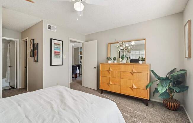 A bedroom with a bed, dresser, mirror, and plant.